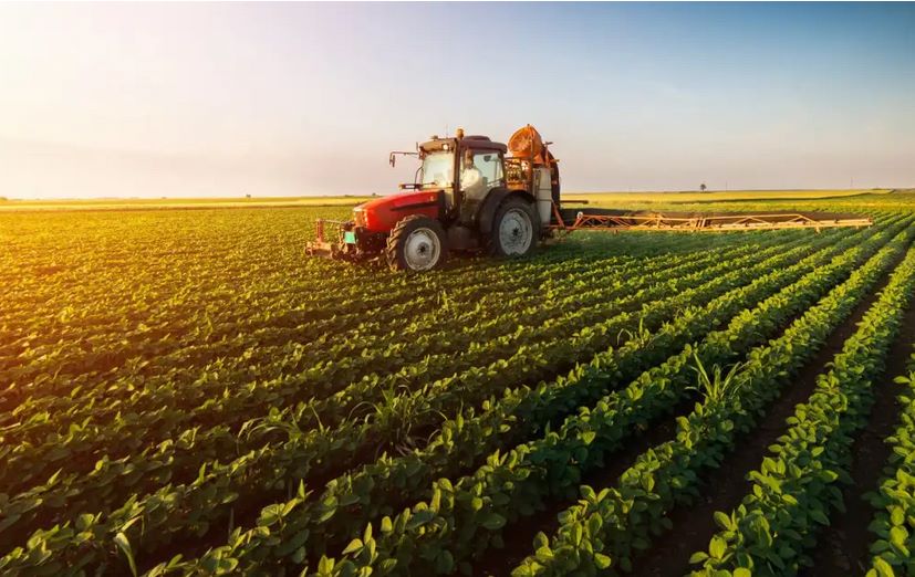 industrii_Agricultura