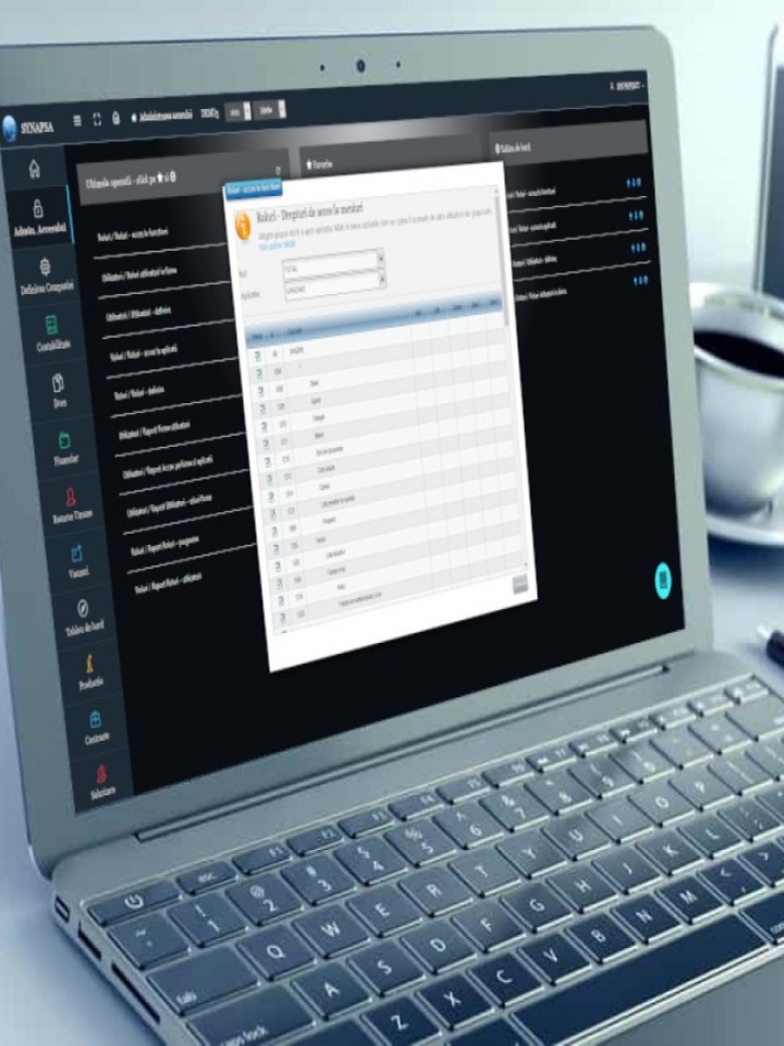 Synapsa Administrarea Accesului
