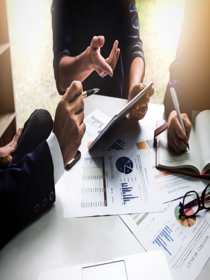 Synapsa Financiar