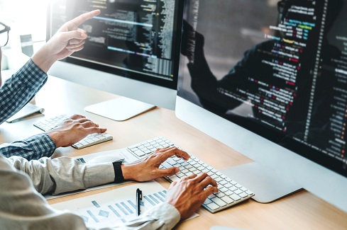 mentenanta sistemului software